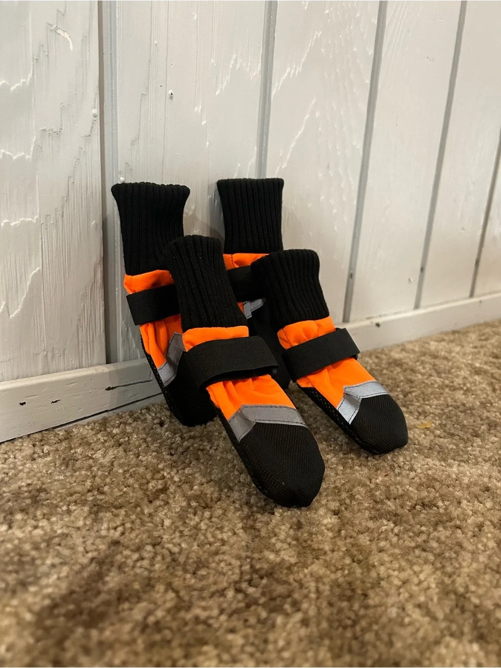 New Dog Boots